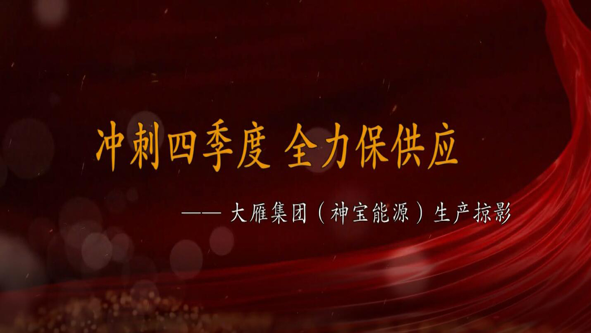 大雁公司（神宝新宝gg）冲刺四季度 全力保供应