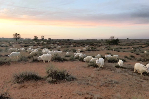 微信图片_20251201093104_543_610